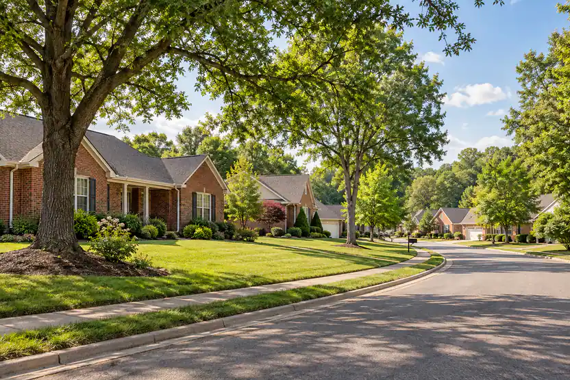 Residential neighborhood in White House, TN